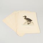 1776&nbsp;7273&nbsp;LITOGRAPHS